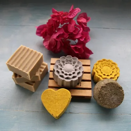 Flower Lanzarote بلايا هوندا